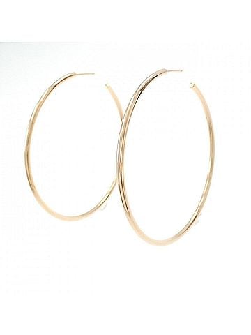 Tiffany & Co. Tiffany &amp; Co. 750PG Earrings (view 1)