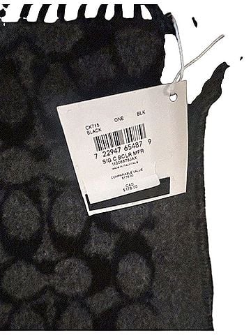 Coach Big C Scarf (view 2)