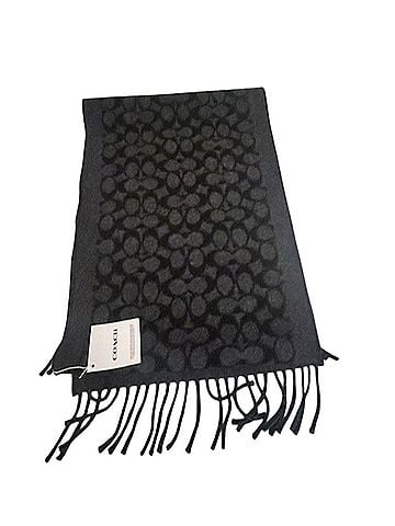 Coach Big C Scarf (view 1)