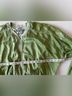 Life Nature Love Green Jacket Size S - photo 12