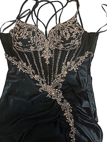Cinderella Divine Cocktail Dress (view 1)