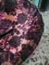 Akira Floral Multi Color Tank Top Size M - photo 8