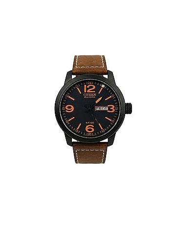 Citizen Watch (view 2)