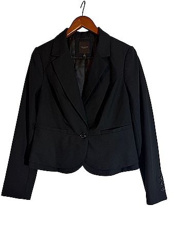 The Limited Blazer (view 1)