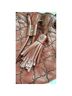 Oryany Print Brown Red Crossbody Bag One size - photo 5