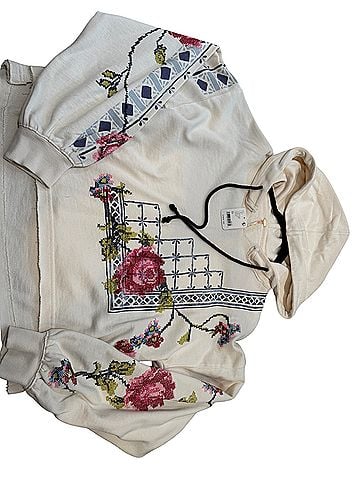 Free People Pullover Hoodie (view 1)