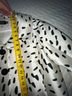 Teri Jon by Rickie Freeman Polka Dots White Black Blazer Size 12 - photo 5