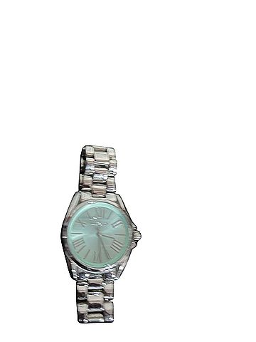 Fossil Watch (view 2)