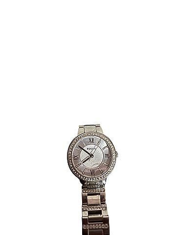 Fossil Watch (view 2)