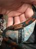 Free People Floral Multi Color Short Sleeve Blouse Size XS - photo 3