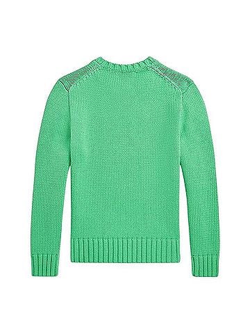 Polo by Ralph Lauren Iconic Flag Sweater Pullover Sweater (view 2)