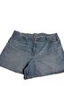 American Eagle Outfitters Blue Denim Shorts Size 20 - photo 1