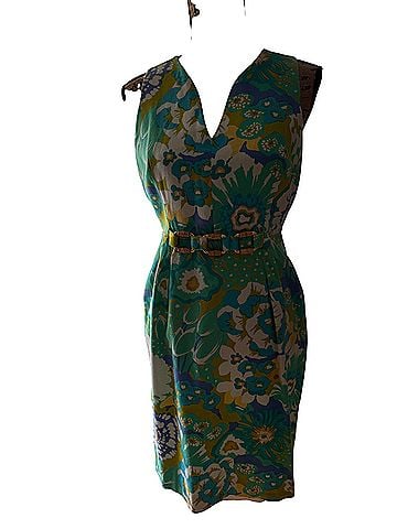 Carlisle Floral Sleeveless Belted Shift Dress Casual Dress (view 1)