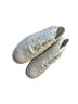 Stuart Weitzman White Sneakers Size 10 - photo 1