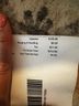 Stuart Weitzman White Sneakers Size 10 - photo 5