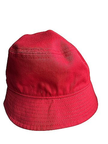 New Era Hat (view 2)