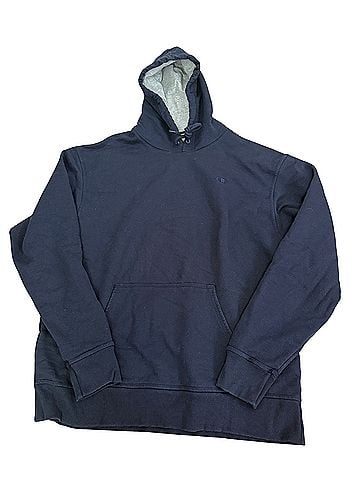 Champion Pullover Hoodie (view 1)