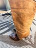 Zodiac 100% Leather Brown Black Boots Size 6 1/2 - photo 6