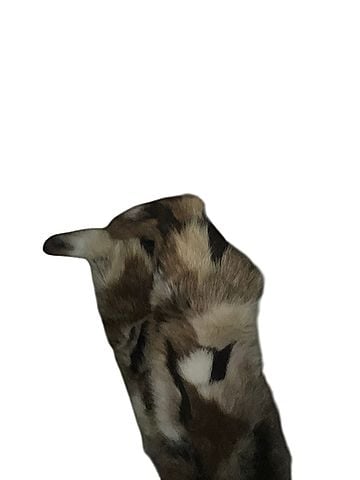 Azalea Wang Mittens (view 2)