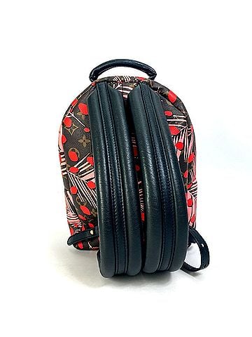 Louis Vuitton LOUIS VUITTON M41981 Monogram Palm Springs PM Jungle Dot Backpack in Canvas, Women's, Brown, Pink, and Red (view 2)