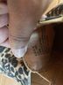 Steve Madden Animal Print Multi Color Sneakers Size 7 1/2 - photo 3