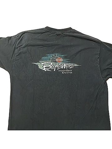 Harley Davidson T-Shirt (view 2)