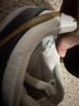 Nike Sneakers Size 6 - photo 4
