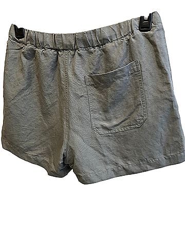 Marine Layer Shorts (view 2)