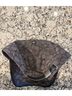 Coach Print Black Baseball Cap One size - photo 5