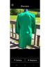 Doncaster Collection Green Active Dress Size 6 - photo 12