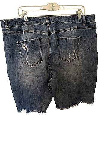Est. 1946 Denim Shorts (view 2)
