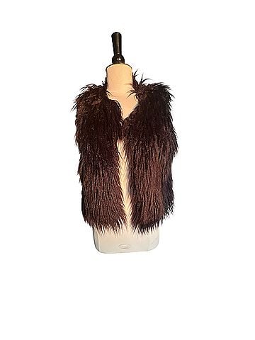 Sans Souci Faux Fur Vest (view 1)