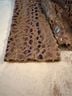 Alfred Dunner 100% Polyester Animal Print Brown Blazer Size 8 (petite) - photo 5