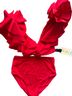 Maygel Coronel Red Two Piece Swimsuit Size 12 - photo 2