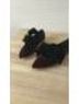 Tory Burch Red Flats Size 7 - photo 5