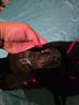 Torrid Black Pink One Piece Swimsuit Size 6 - photo 3