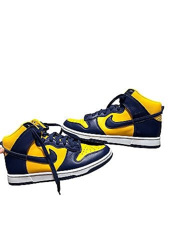 Nike Hi Top Dunks Sneakers (view 1)