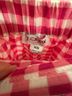 J.Crew Graphic Pink Skort Size XS - photo 3