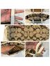 Coach Graphic Solid Brown Ivory Tote One size - photo 14
