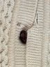 wool& 100% Wool Camo Ivory Wool Cardigan Size L - photo 9