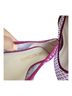 Stuart Weitzman Pink Flats Size 8 - photo 5
