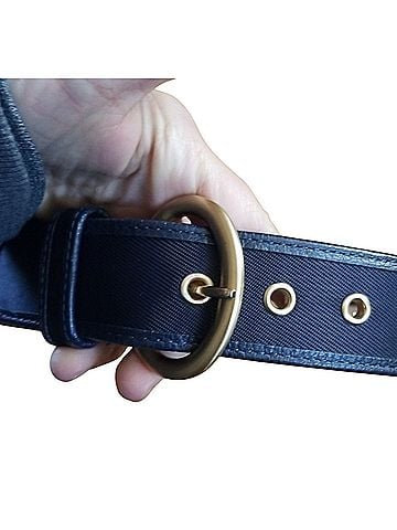 Talbots Belt (view 2)