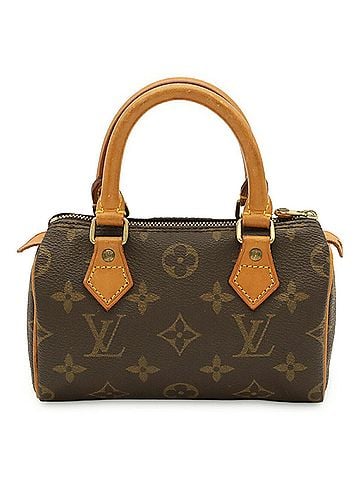 Louis Vuitton LOUIS VUITTON Louis Vuitton Monogram Mini Speedy Handbag Pouch M41534 (view 2)