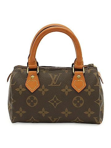 Louis Vuitton LOUIS VUITTON Louis Vuitton Monogram Mini Speedy Handbag Pouch M41534 (view 1)