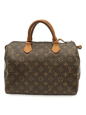 Louis Vuitton LOUIS VUITTON Louis Vuitton Monogram Speedy 30 Handbag M41526 (view 1)