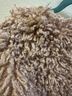 Free People Pink Jacket Size 6 - photo 4