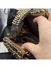 Mary Frances Brown Gold Clutch One size - photo 3