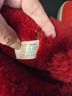 Ugg Red Ankle Boots Size 9 - photo 6