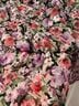 Astr 100% Polyester Floral Multi Color Blouse Size XS - photo 9