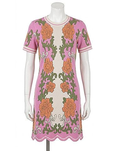 Fate Delaney Dress in Pink (view 1)
